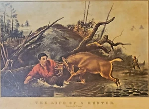 Impresión artística enmarcada de Arthur Fitzwilliam Tait Life of a Hunter Catching A Tartar - Imagen 1 de 7