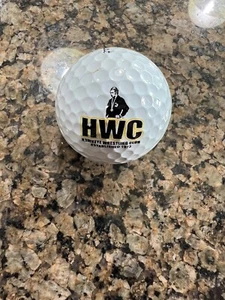 LOGO PELOTA DE GOLF - ORIGINAL 2013 NCAA HWC IOWA HAWKEYES CLUB DE LUCHA LIBRE - BOLA DE PRUEBA!!️ - Imagen 1 de 1