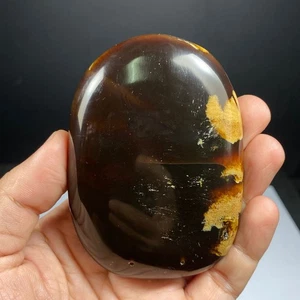 57Gr Rare Collection Amber Indonesia Specimen Rough Crsystal - Polished - Picture 1 of 6