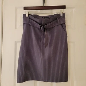 Banana Republic Bi-Stretch Knee Length Skirt Size 4 Grey Stripe Belt NWOT NEW - Picture 1 of 7