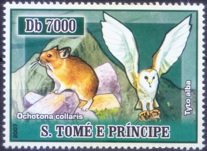 Búho granero, aves rapaces, Santo Tomé 2007 MNH  Foto 1 de 1