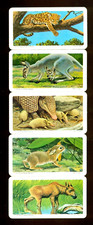 1972 ANIMALS AND THEIR YOUNG BROOKE BOND & RED ROSE TEA CARD LOT OF 10 NM/MT