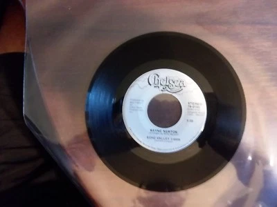 1972 VG+ RARE Wayne Newton Daddy Don't You Walk So Fast / Echo Valley 2-680 45 - Image 1 of 2