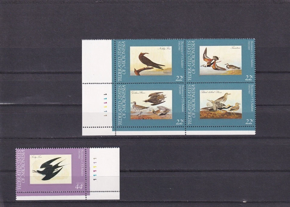 SA11b Micronesia 1985 Birds 200th Anniv of John J. Audubon block + airmail stamp - Image 1 of 1