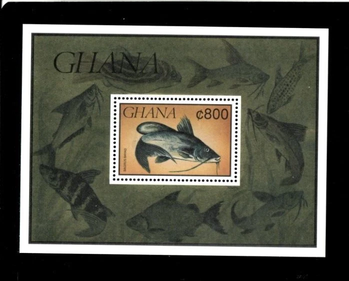 Ghana 1991 - Bagrus Bayad Fish - Souvenir Stamp Sheet - Scott #1326 - MNH - Image 1 of 1