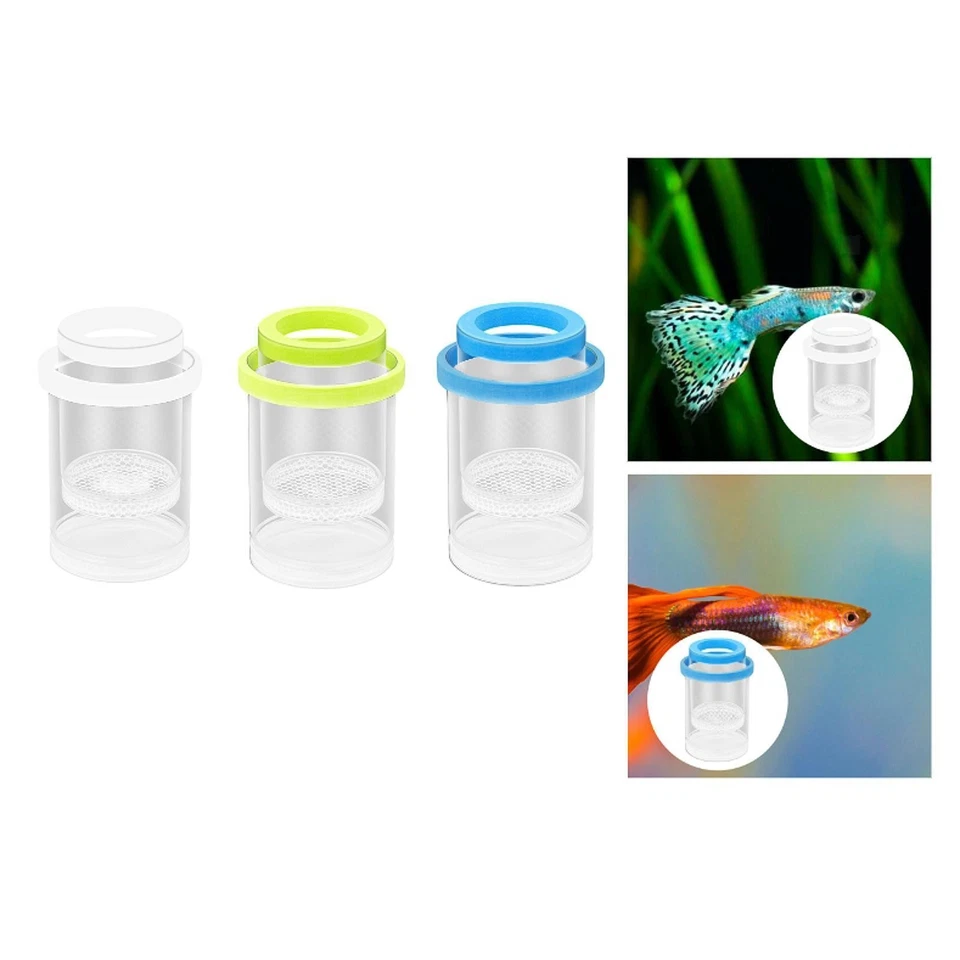 Floating Fish Isolation Box Fish Tank Hatching Incubator Round Cultivating - Bild 1 von 1