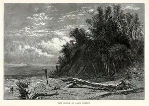 Lago Michigan, Lake Forest Beach, America storica 1874 antica incisione - Foto 1 di 4