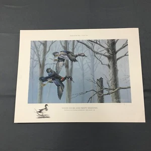 Wood Ducks & Misty Shadows 1st Edition 1988 Numbered Signed Bob Gillespie Print - Picture 1 of 8