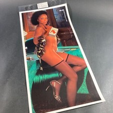 VINTAGE JUNE 1980 PLAYBOY MAGAZINE PLAYMATE CENTREFOLD POSTER OLA RAY