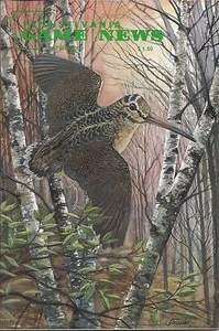 Pennsylvania Game News April 2000 cover by Jim Trusilo woodcock timberdoodle - Picture 1 of 3