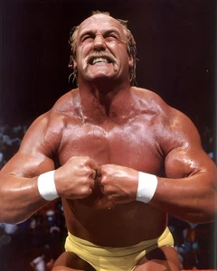 Póster fotografía 2004 de Hulk Hogan WWE 11,69x16,54 - Imagen 1 de 1