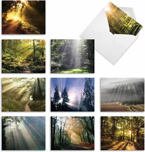 The Best Card 10 Assorted Thank You Notecards Boxed Set 4 X 5.12 Inch with Enve - Picture 1 of 7