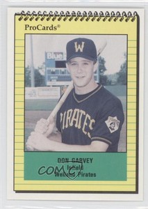 1991 ProCards Minor League Donald Garvey Don Garvey #3577