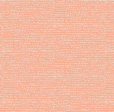 Feline Drive Fabric MOONSCAPE 珊瑚搅拌机 Dear Stella - 按码出售 — 第 1/4 张图片