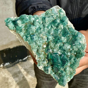 3.13LB Natural Green FLUORITE Quartz Crystal Cluster Mineral Specimen