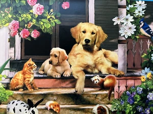 Leanin Tree Blank card dogs puppy kitten sitting on porch - Picture 1 of 3