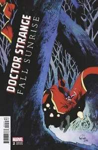 Cubierta variante 1:25 de Doctor Strange: Fall Sunrise (2022) #2 casi nueva James Harren - Imagen 1 de 1
