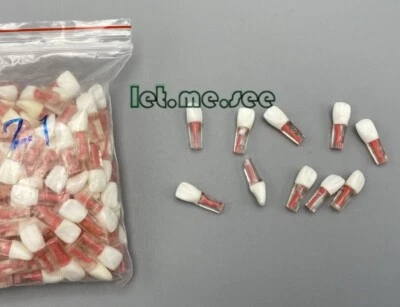 1Pcs Kilgore Nissin Dental RCT Endo Root canal Practise Typodont Teeth Model #21 - Image 1 of 4