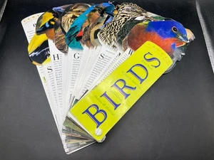 Fandex Family Field Guide Wild Birds Of North America By Workman Publishing - Picture 1 of 12