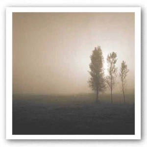 Bordeaux Bäume Richard D'Amore Kunstdruck 10x10 - Bild 1 von 1