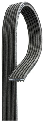 6DPK1188 GATES V-Ribbed Belt for SEAT,VW - Image 1 of 2