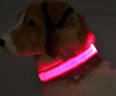 Nylon LED Pet Dog Cat Collar,Night Safety Flashing Glow In The Dark Dogs Leash - Image 1 of 4
