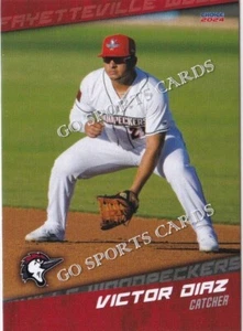 2024 Fayetteville Woodpeckers Victor Diaz RC Rookie Astros DR Minor Baseball - Picture 1 of 1