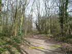 Photo 6x4 Path through Greenshaw Wood to St Helier Hospital Greenshaw Woo c2013
