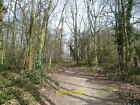 Photo 6X4 Path Through Greenshaw Wood To St Helier Hospital Greenshaw Woo C2013