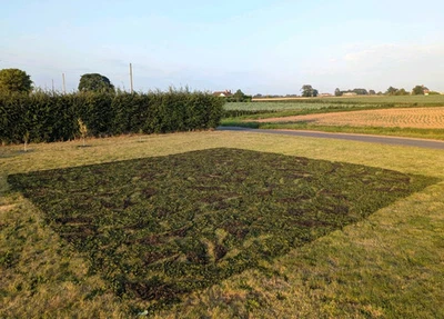 Genuine British Army MK7 Woodland Camo Net Camouflage Netting - Various Sizes - Image 1 of 4