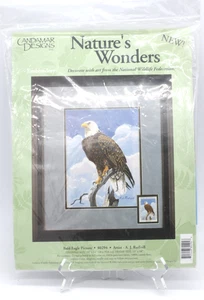 Candamar Designs Embroidery Kit Bald Eagle 80294 Nature's Wonders Wildlife 1995  - Picture 1 of 3