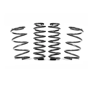 Kit de resortes descensores deportivos VWR Racingline para VW Golf MK8 R - 20 mm de caída - Imagen 1 de 1