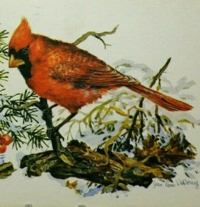 Holiday Greetings Little Red Bird Winter Snow Vintage Postcard A8 - Picture 1 of 3