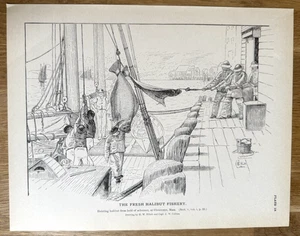 Heben Heilbutt aus Schoner Hold in Gloucester MA 1887 Original antiker Druck - Bild 1 von 12