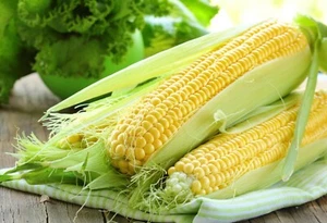 15 Golden Phoenix Sweetcorn Seeds - Picture 1 of 7