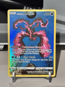 Galarian Moltres SWSH284 SWSH: Sword & Shield Promo Cards Holo - Picture 1 of 2