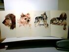 Hunde. Konvolut. 4 x Ansichtskarte / Künstlerkarte farbig von N .B. Roth ( Norbe