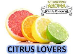 CITRUS LOVERS COLLECTION Soy Wax Clamshell Break Away tart melt wickless candle - Picture 1 of 2