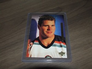 1995-96 Upper Deck Electric Ice gold # 82 brett lindros