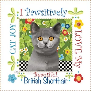 Feline Drive Stoff 6" quadratisches KUNSTPANEL britische Kurzhaarkatze Jody Houghton - Bild 1 von 7