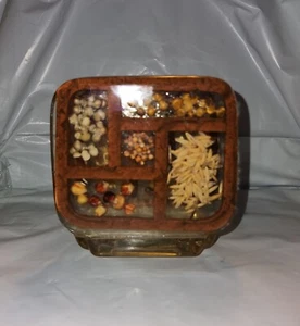 1970's Acrylic Lucite Resin Dried Pressed Seeds Napkin/Letter Holder Vintage - Imagen 1 de 10