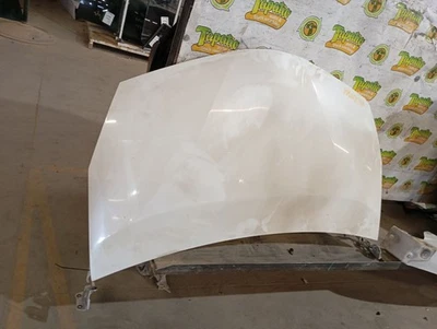 Capô Prius V VIN Eu 7º e 8º dígitos compatível com 12-18 PRIUS 3920876 - Imagem 1 de 4