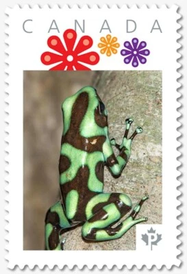 绿色飞镖 FROG = 个性化图片邮票 MNH 加拿大 2018 [p18-07s03] — 第 1/2 张图片