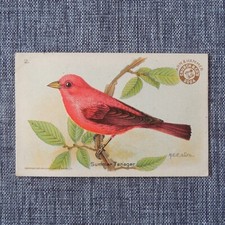 SUMMER TANAGER #2 Arm & Hammer Useful Birds of America THIRD Series Trading Card