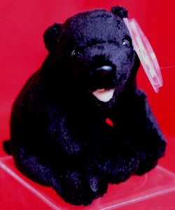 Ty Beanie Baby MWMT - Asche Schwarzbär - Bild 1 von 4
