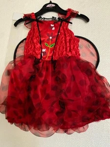 Ladybird Fancy Dress Costume Age 1-2 Years - Picture 1 of 9