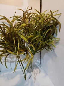 10 X Silk Artificial Green Natural Dry Look Folaige, Greenery Stems Ex Display - Picture 1 of 9