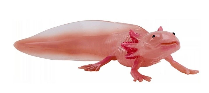 Mojo 381108 Axolote 9 Cm Mundo Acuático Novedad 2025 - Imagen 1 de 1