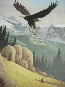Harry Antis High Country American Bald Eagle Ltd Ed Signed Art Print Americana - Picture 1 of 1