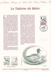 Document Philatélique 1er Jour : 18 1993 - Le Tadorne de Belon - Imagen 1 de 1